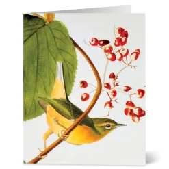 Notecards & Correspondence*The Met Store Audubon Birds Notecards