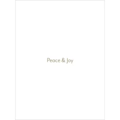 Holiday Cards*The Met Store Earle: Blue Doves of Peace Holiday Cards